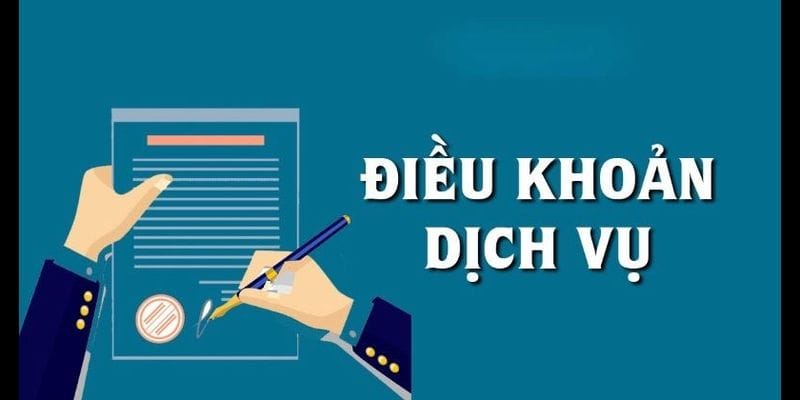 điều khoản mm99